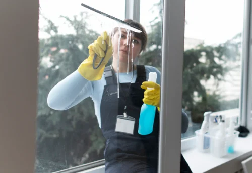 Nettoyage de vitres intérieures et extérieures à Larochemillay